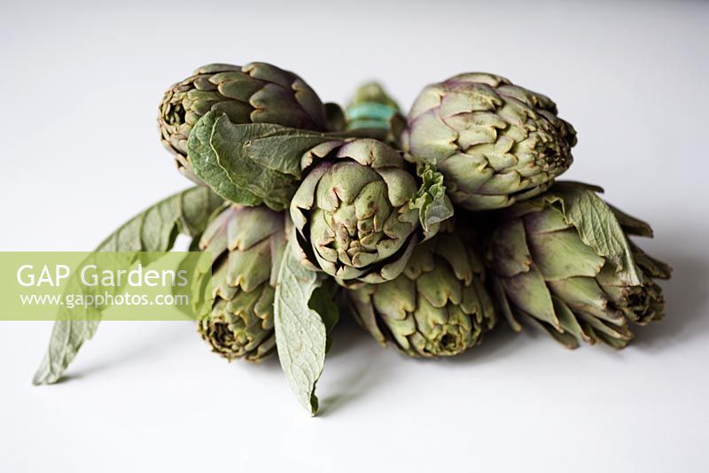 Bunch of small young artichokes