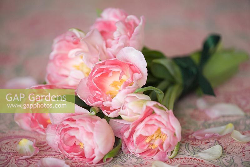Bouquet of pink double tulips - Tulipa