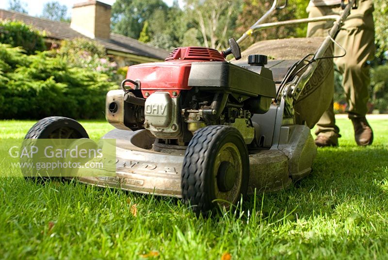 Man cutting grass lawn with petrol driven rotary lawnmower