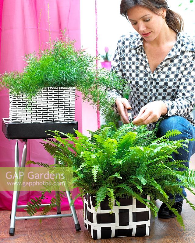 Woman caring for her plants