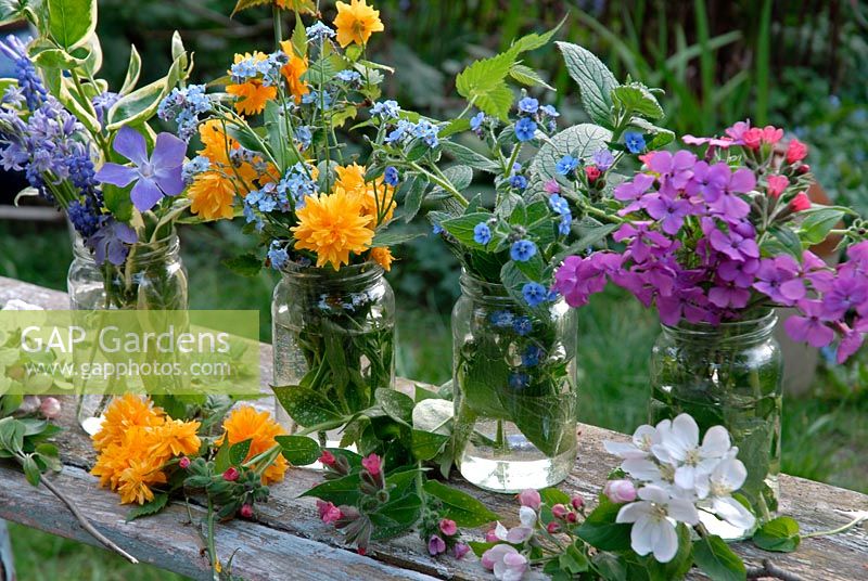 Glass jars of Spring flowers picked from the garden including Lunaria Annua - Honesty, Pulmonaria, Ancusa, Myosotis - Forget me nots, and Kerria Japonica - Jews Marrow. Vinca Major 'Elegantissima' apple blossom on the bench.