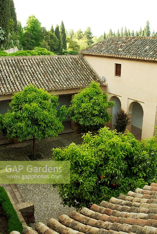 Orange trees in a courtyard of the Generalife Gardens - Gardens of the Alhambra, Granada, Spain 