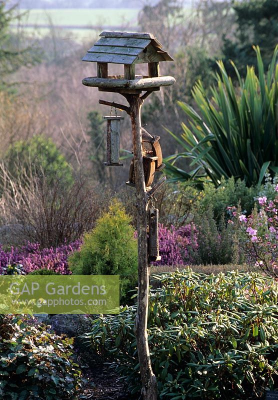 Bird table in heather garden - Champs Hill Garden, Sussex