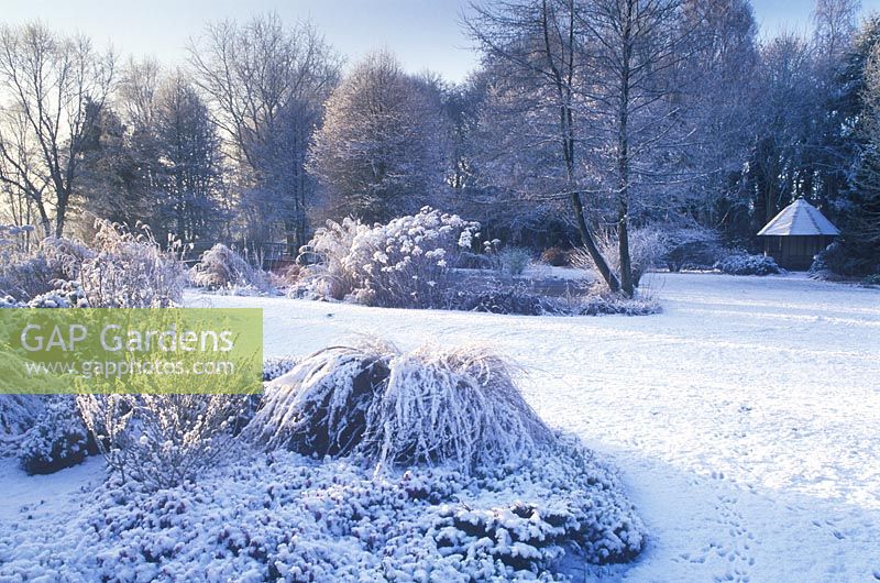 Snowy Scene at Foggy Bottom, Bressingham Gardens, Norfolk.