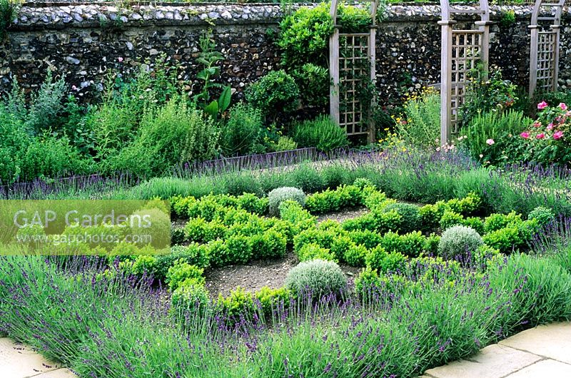 Herb knotgarden with Lavandula - Lavender, and Buxus - Box hedges