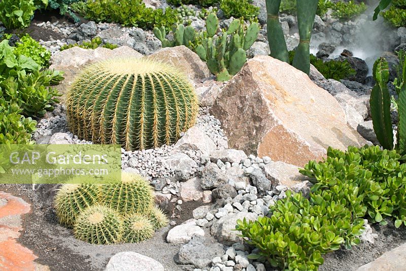 Cacti planting in modern 'rock' garden -'600 Days With Bradstone' garden, Chelsea 2007  