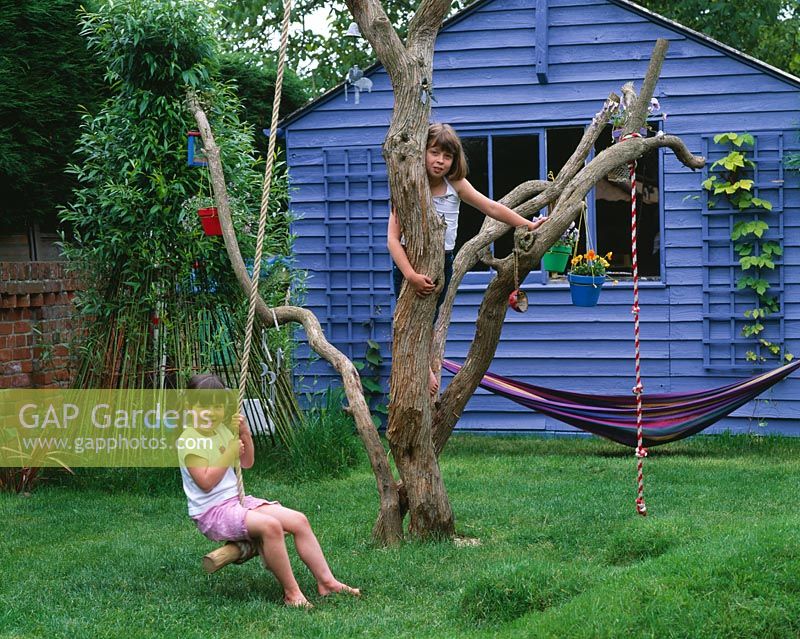Children playing on the old tree with blue summerhouse behind