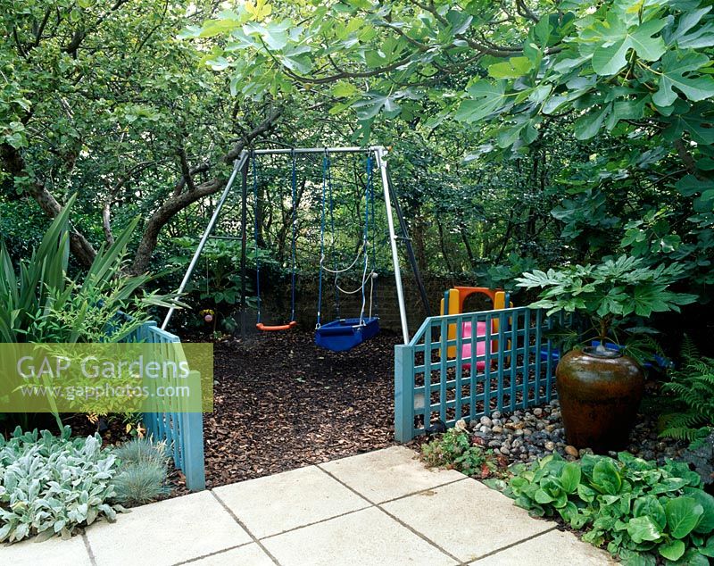 Childrens swings with bark chip underneath, blue trellis, Ficus 'Brown Turkey', Fatsia japonica and terracotta water feature