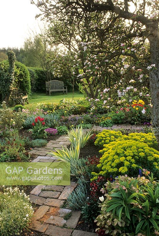 Simple brick path winding through spring borders planted with Euphorbia polychroma,  Iris, Helleborus orientalis, Tulipa and Malus - Bench in background as focal point 