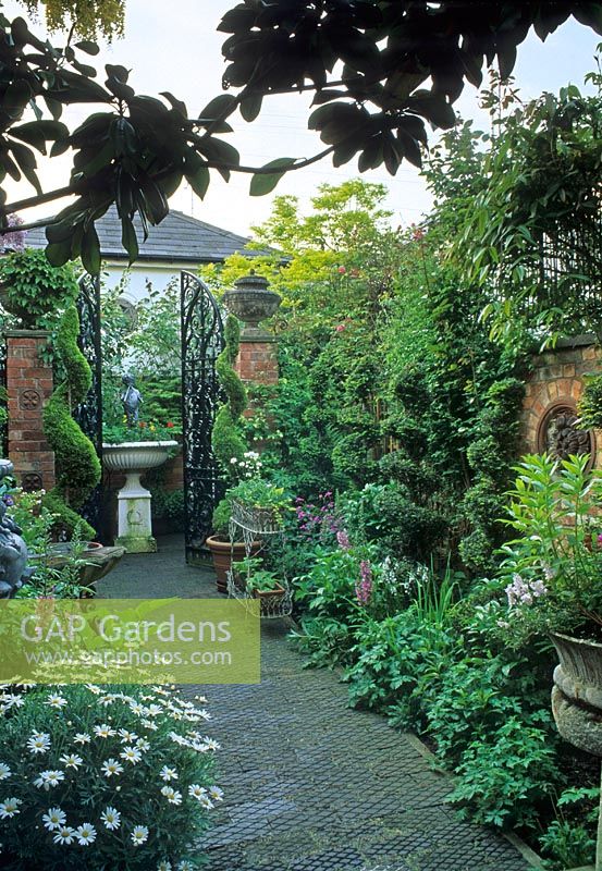 Small urban town Italianate style courtyard garden with climber clad brick boundary wall, topiary box Buxus spirals, urn as focal point framed by gates at end of path 
- Cheltenham, Gloucestershire 