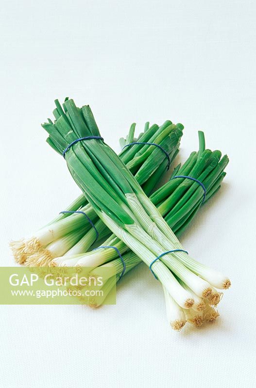 Bunches of Spring Onions
