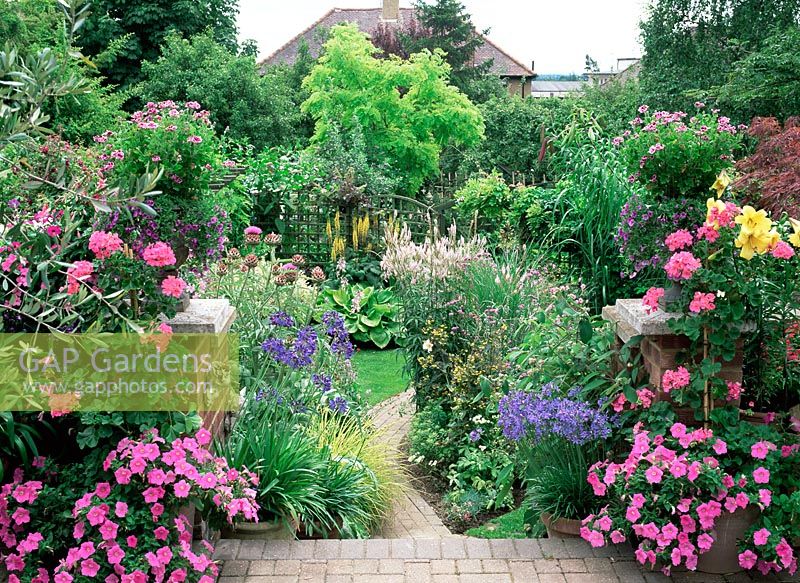 Colourful suburban garden with annual bedding plants