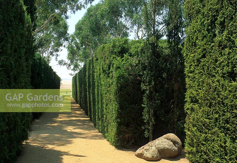 Gravel path lined with evergreen hedging at Garangula, Harden, New South Wales, Australia
