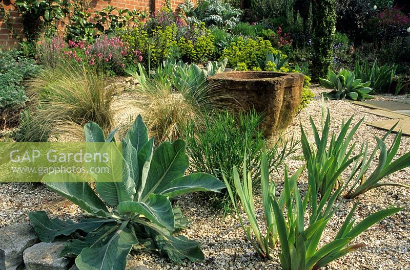 Gravel garden with Verbascum, ornamental grasses and stone mortar - Thursley Lodge, Surrey 