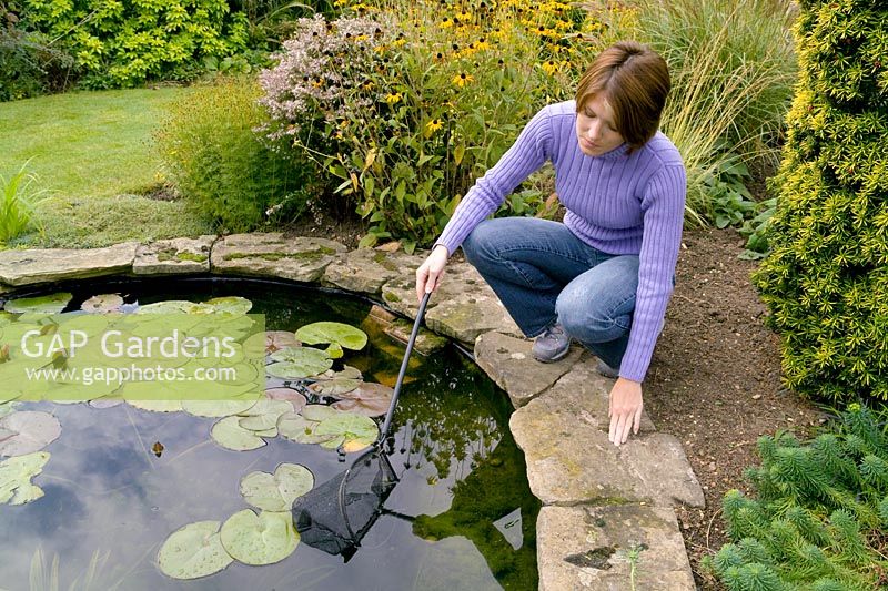 Woman using a net to remove algae from a pond