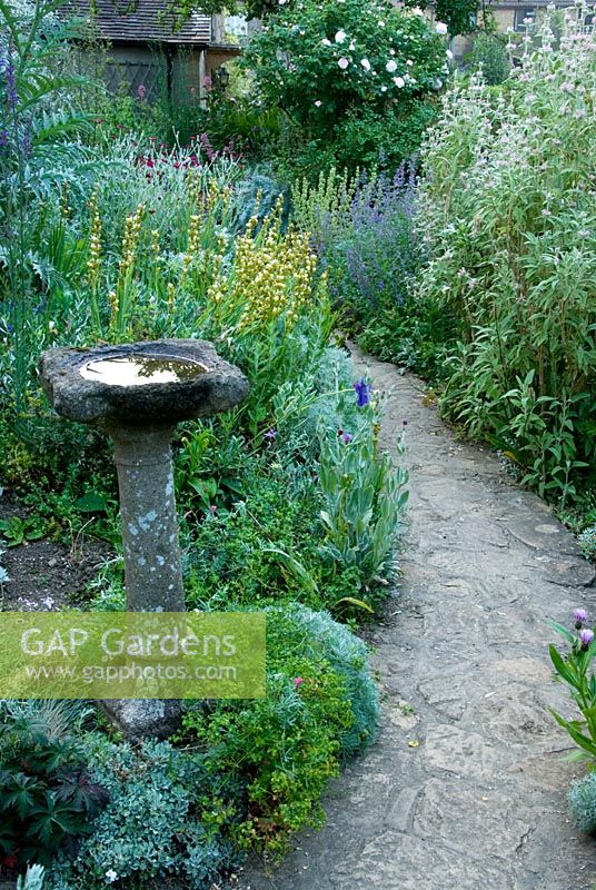 Stone birdbath in the Silver garden with  Sisyrinchium striatum at East Lambrook Manor Gardens, South Petherton, Ilminster, Somerset
