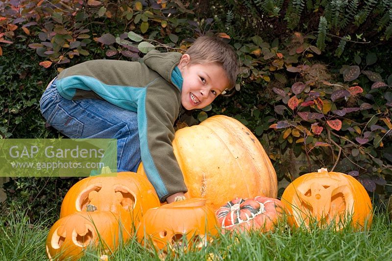 Young boy trying to lift giant Pumpkin