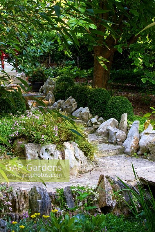 Chinese influenced garden with stone-edged path in shaded walk, Box edging and Diascia - Wiltshire