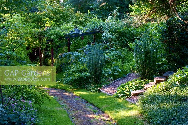 Chinese influenced garden - Garden of 10,000 Shadows with Crinodendron, Daphniphyllum, Eriobotrya japonica and Iris ensata - Wiltshire