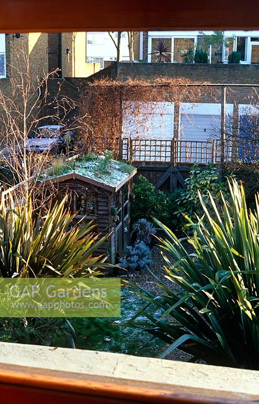 Green shed roof in December 2005 with light dusting of snow but Achillea still blooming