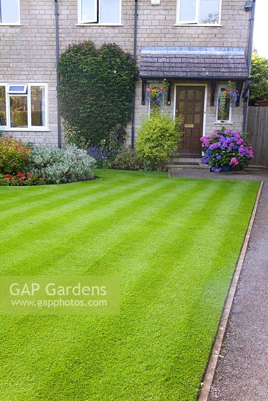 Lawn cut with stripes in suburban front garden