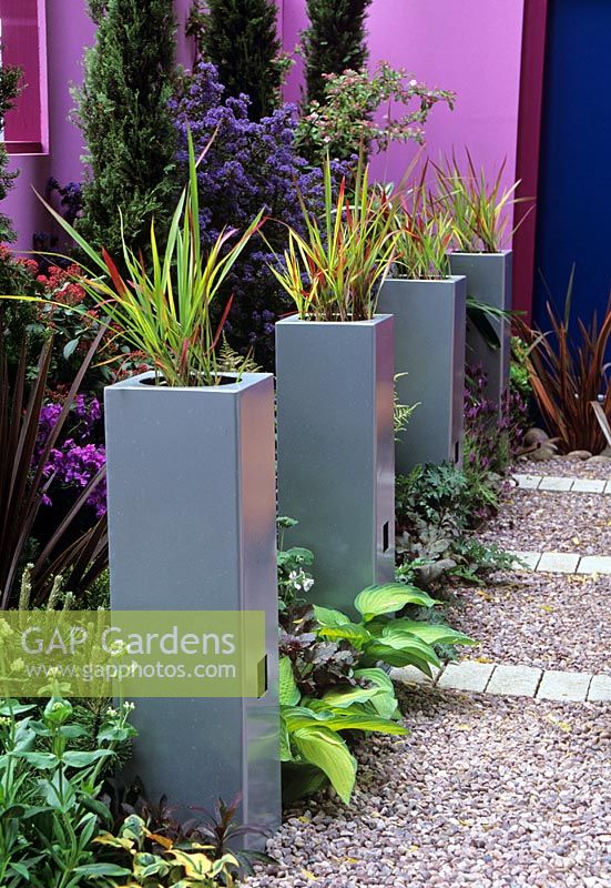 Imperata cylindrica in tall metal containers - Chelsea 