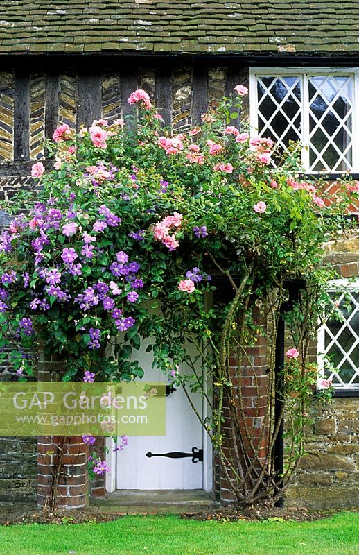 Front garden door arch with Clematis 'Perle d'Azur' and Rosa 'Bantry Bay' - Double Cottages, Surrey 