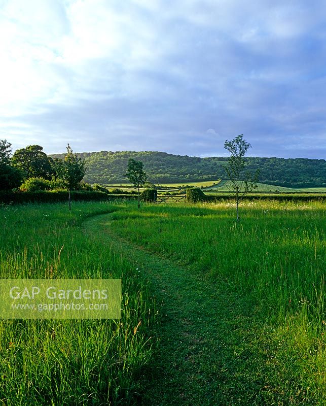 Mown grass pathway through a wild country meadow garden