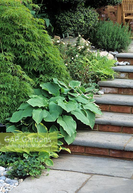 Stone steps edged by Hosta and ferns - Design Jeoffrey Whiten