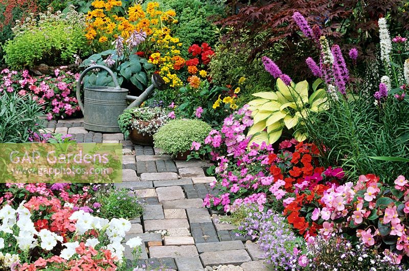 Bright and breezy summer bedding plants flank a cottage garden style path with an old watering can as a focal point. Petunias, Ageratum, busy Lizzies, Rudbeckias, fibrous rooted Begonias and Lobelia carpet around Hostas and Liatris 