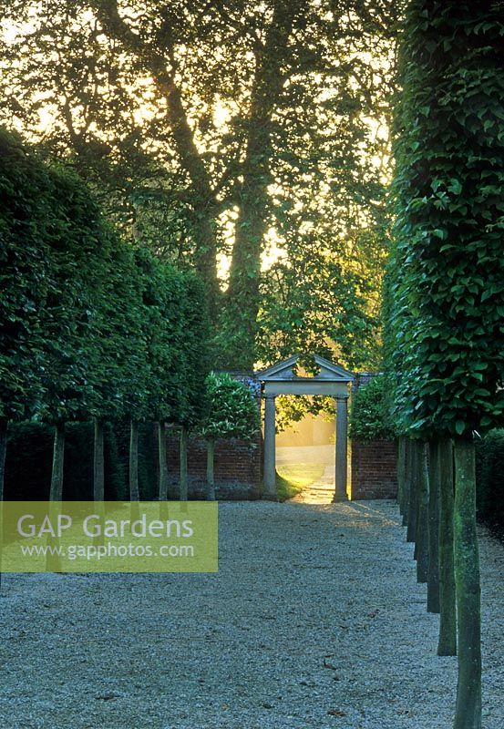 Shady allee of pleached trees lining gravel path leading to formal palladian style arch with columns supports - Seend Manor, Wiltshire