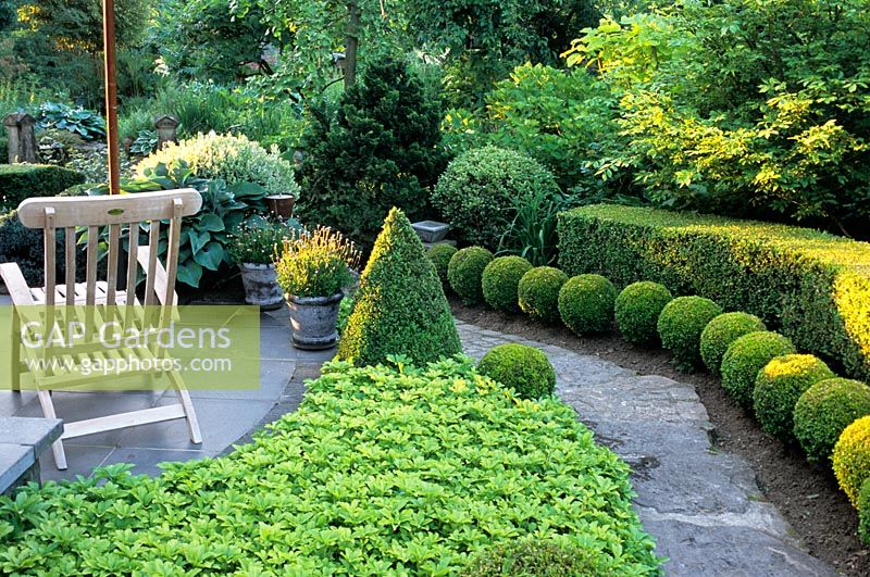 Wooden lounger on terrace beside border with Pachysandra terminalis and clipped Buxus topiary