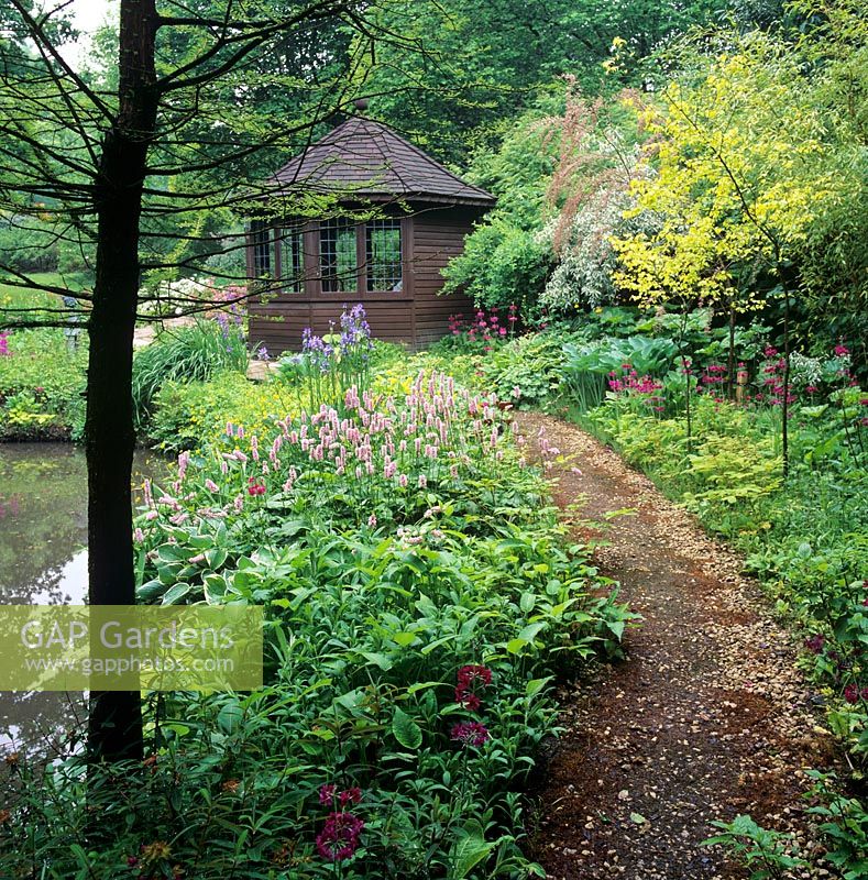 Iris, Primula, Polygonum and Hosta along path leading to summerhouse in woodland garden - Little Coopers, Hampshire