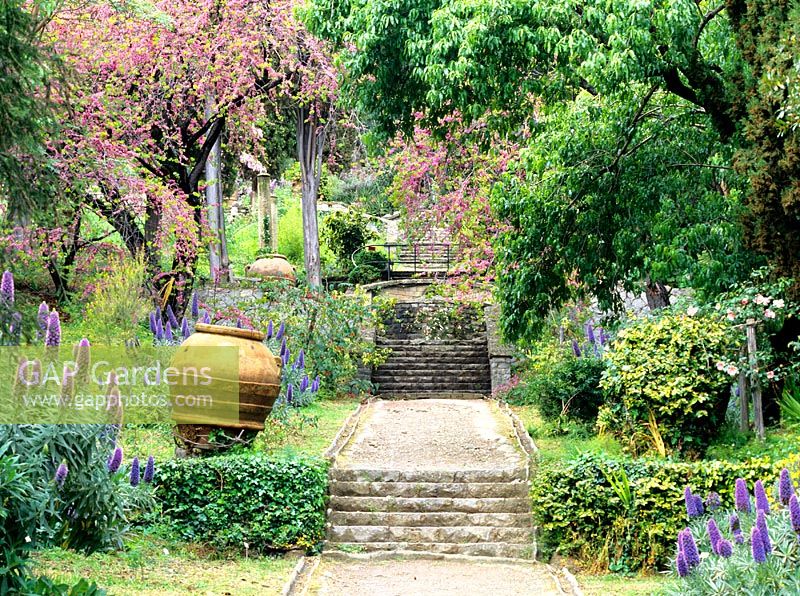 Mediterranean garden with steps - La Mortola Giardini Hanbury 