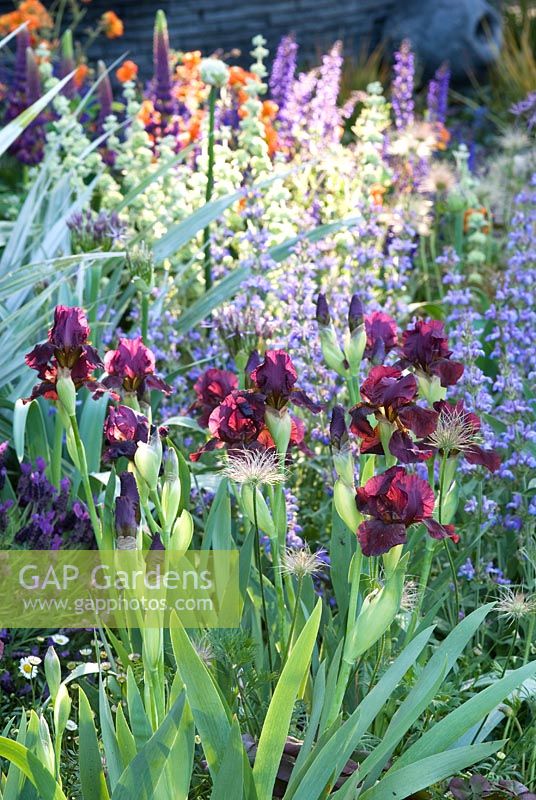 The Bupa Garden - Chelsea Flower Show 2008, Gold Medal Winners