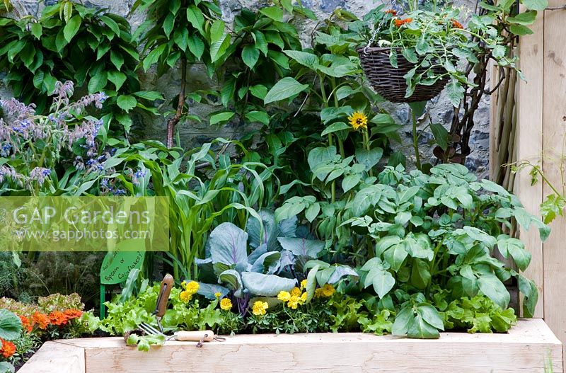 Mixed flowers and vegetables, Garden - The Dorset Cereals Edible Playground, Design - Nick Williams-Ellis, Sponsor - Dorset Cereals - Best Courtyard Garden, Gold Medal Winners
