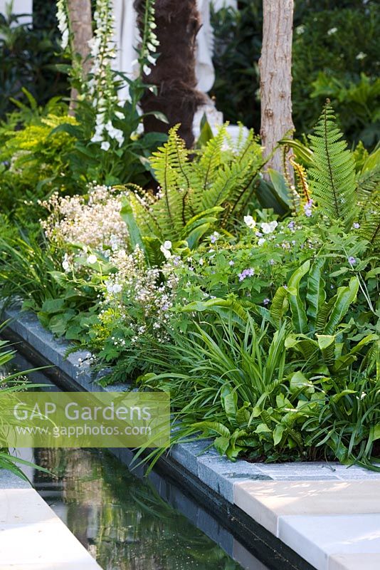 A Cadogan Garden with plant combination and water rill, Sponsor  - Cadogan Estates Ltd.  Design -  Robert Myers.  RHS Chelsea Flower Show 2008. Gold Medal Winner