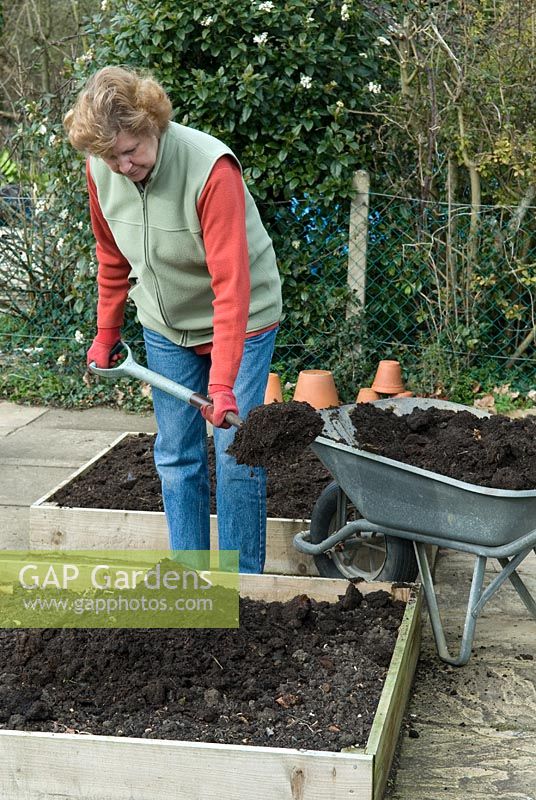 Woman applying organic compost from wheelbarrow on to raised beds