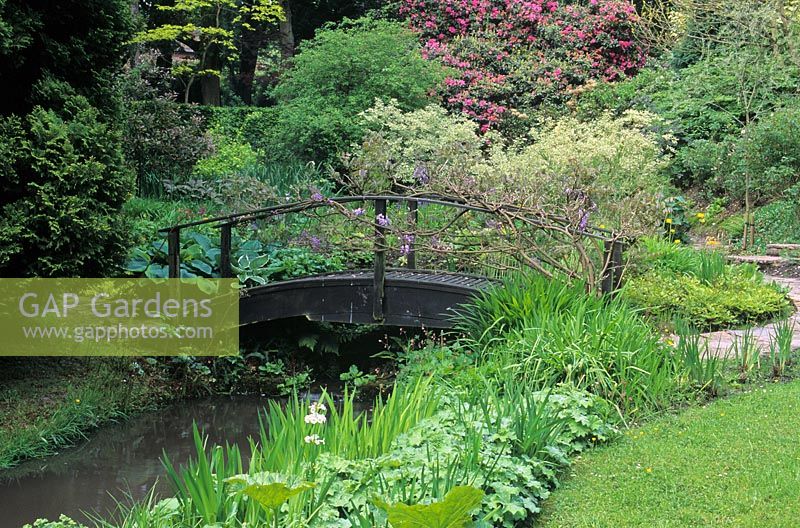 Timber bridge over stream - Woodland water garden