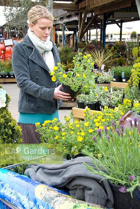 Lady buying plants in garden centre - Potentilla