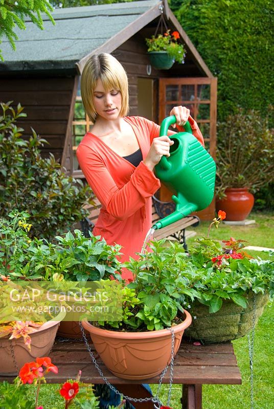 Lady watering hanging baskets with watering can