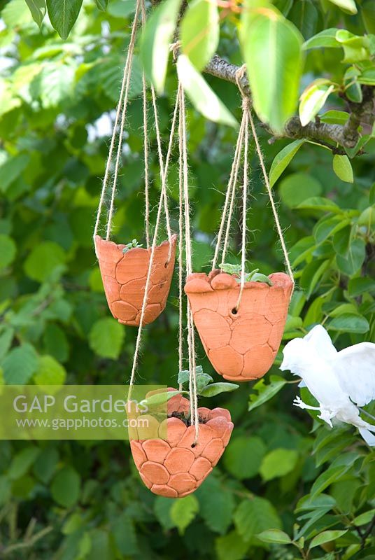 Hanging clay containers - Beauty and the Beasts Garden, Gardeners' World Live 2008