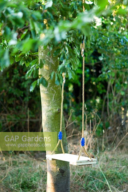 Child's wooden swing hanging from a tree in the woods