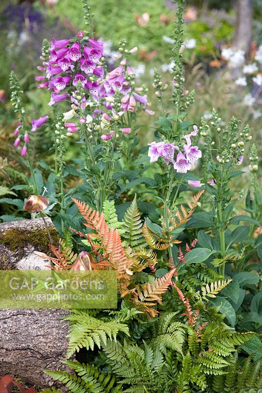 'The Fire and Iron Garden Whirling Butterflies' - RHS Hampton Court Flower Show 2008