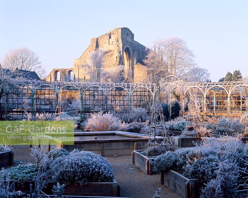 Frozen pond creates a focal point for the herb garden with frosted wigwams, the circular arcaded walk and ruined abbey in the background - The Abbey House, Wiltshire