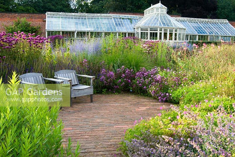 Seating area and glasshouse with perennial planting of Origanum 'Rosenkuppel', Perovskia 'Blue Spire', Geranium and Amsoniain - The Walled Garden, Scampston Hall, Yorkshire designed by Piet Oudolf 