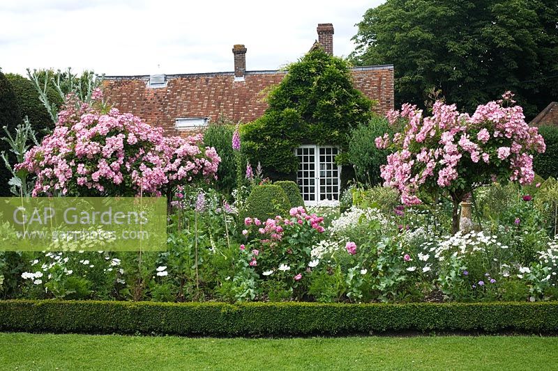 June border including Rosa 'Ballerina' and the summerhouse in the background - Chenies Manor Gardens