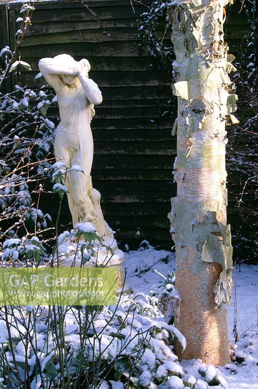 Statue in snow beside a Betula trunk