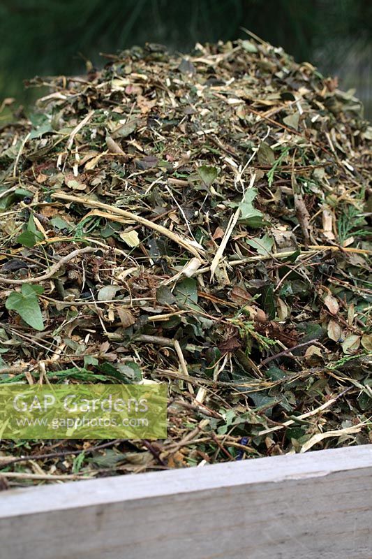 Shredded garden waste recycled on a compost heap