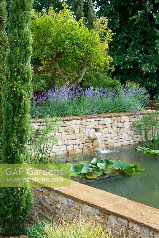 Dorset Water Lily Garden - Romantic Charm at the RHS Hampton Court Flower Show